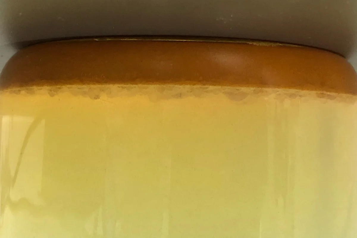 Marine Fuel Microbial Contamination Engineer's Guide