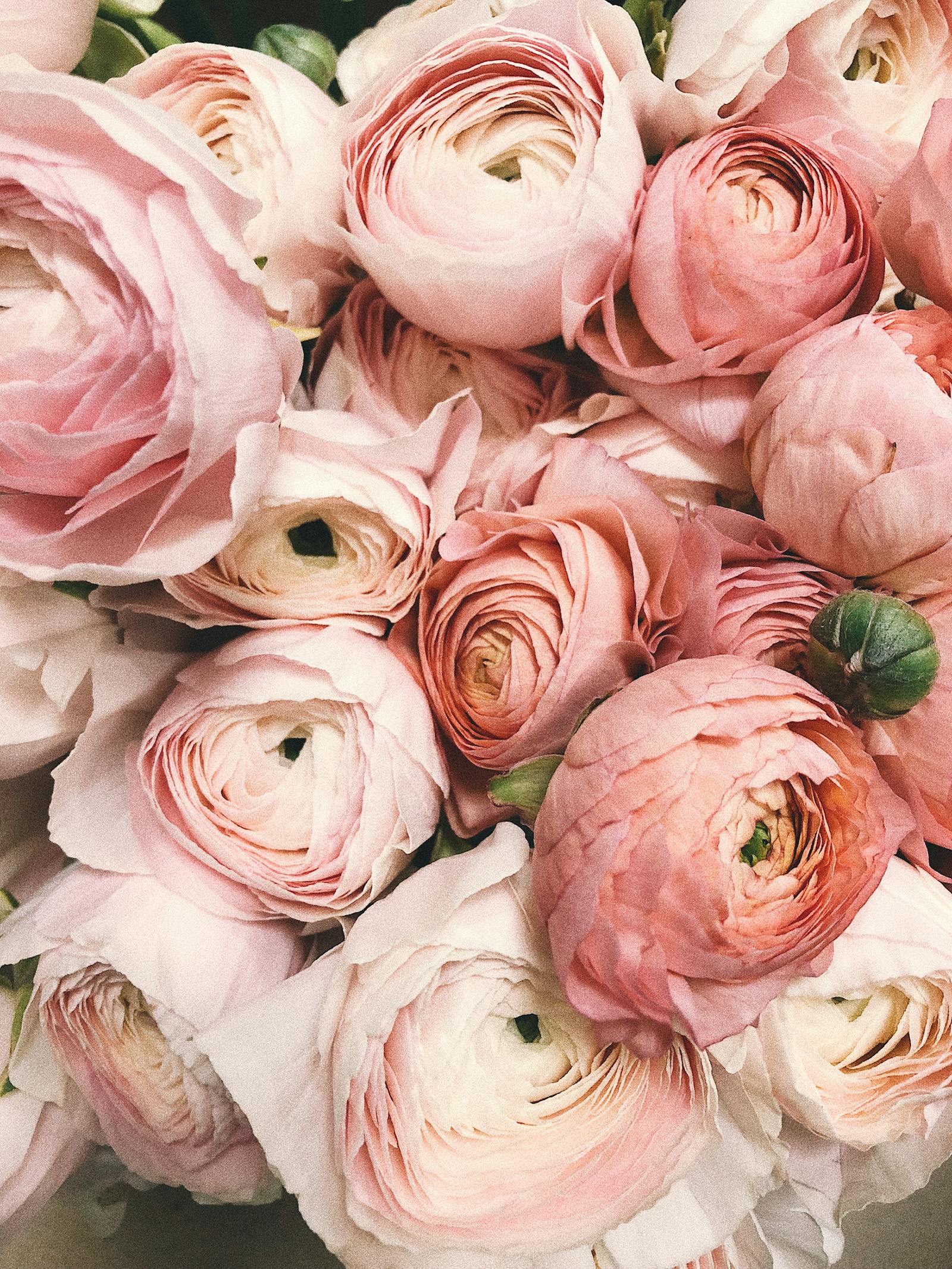 Daily floral arrangement on yacht aft-deck