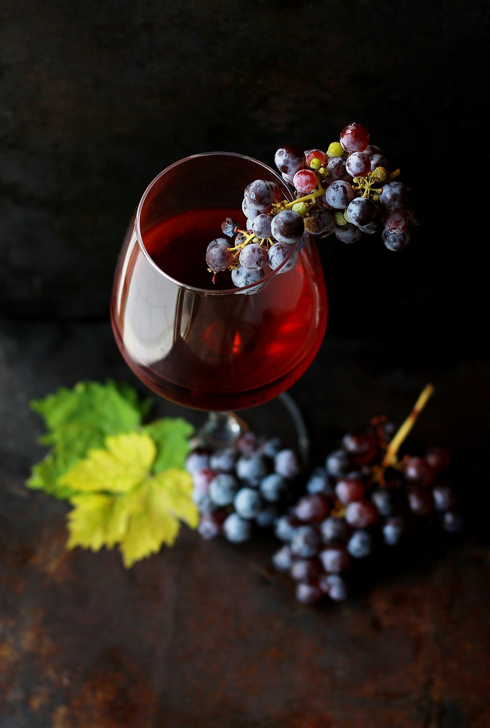 Single fine wine bottle in dramatic light &mdash; Mercer Yachting Curated Sourcing