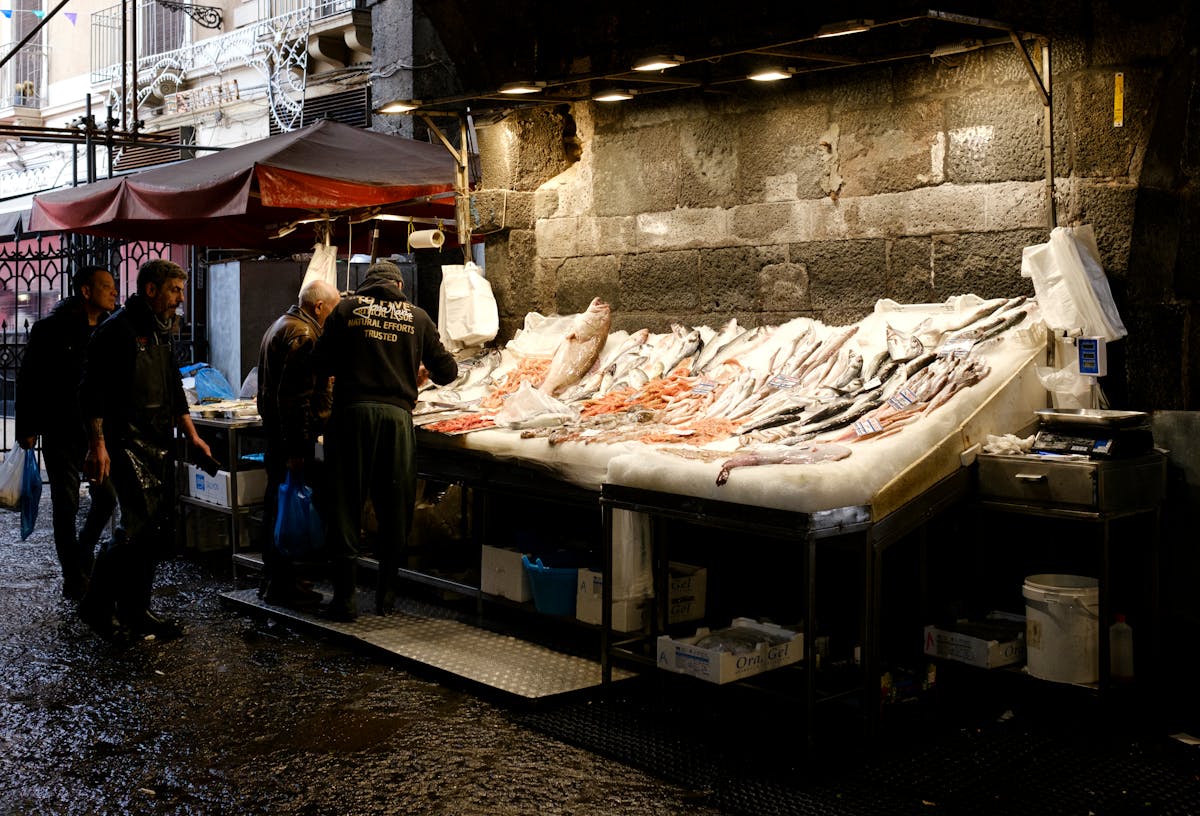 Mediterranean fish market &mdash; daily fresh sourcing
